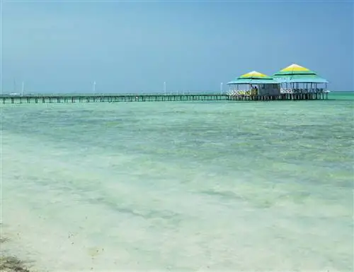 Дайвинг на Сент-Люсии: все, что вам нужно знать