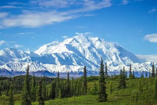 Вид на пик Денали
