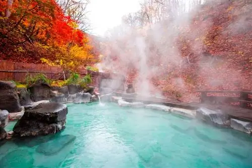 Традиционный японский онсэн