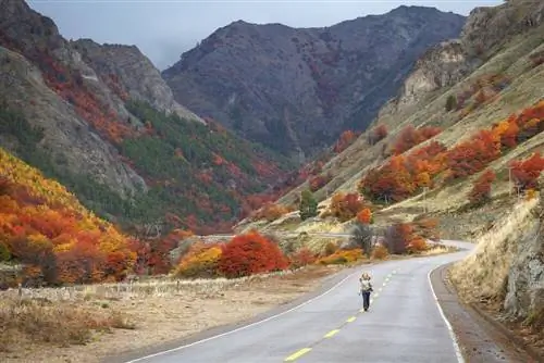 Carretera Austral в Койайке