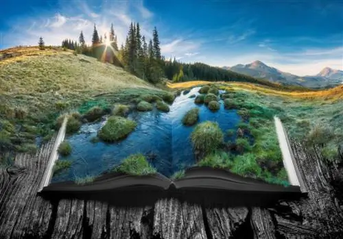 Книги, которые мечтают о путешествии