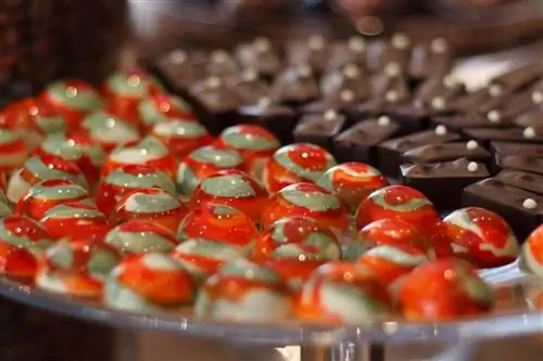 Разработки Пола А. Янга