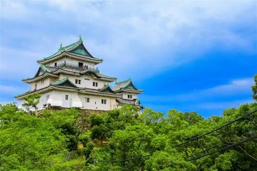 Город Вакаяма: секретный уголок Японии