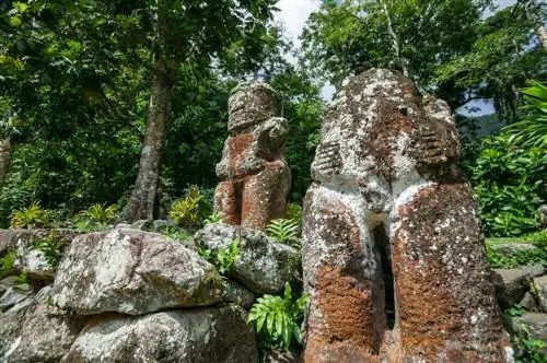 Тикис на Хива-Оа