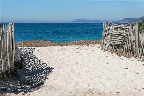 Полуостров Жьен: откройте для себя лучшие пляжи Йера