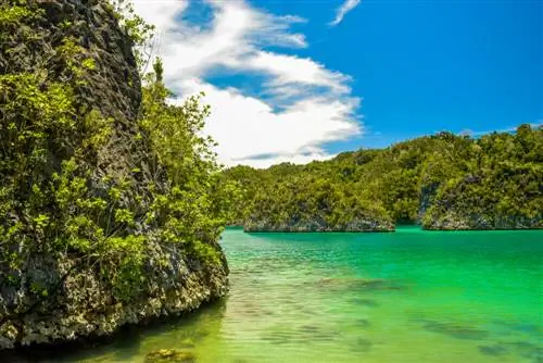 Вид на остров Пьянемо