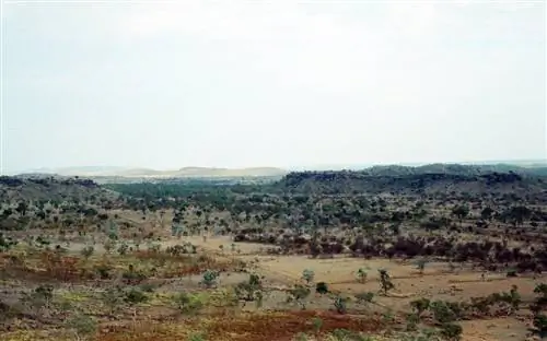 Риверслей и ископаемые млекопитающие Австралии