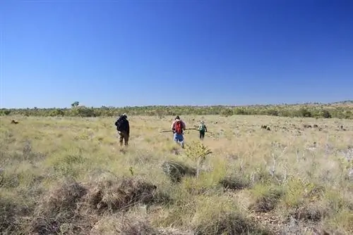Исследователи из Риверсли