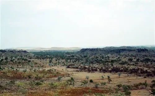 Риверслей и ископаемые млекопитающие Австралии