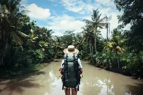 Путешественник в джунглях