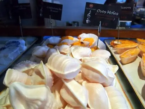 Родовая пластина Ovos