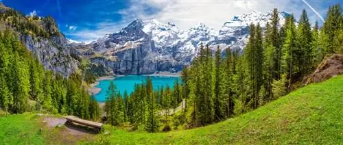 7 любопытных фактов о Швейцарии, о которых вы не знали