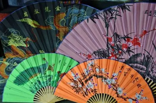 Китайские фанаты