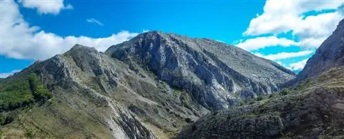 Вид на серпы Вегацервера