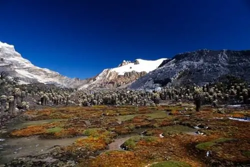 Сьерра-Невада-дель-Кокуй