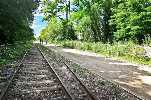 Image Image