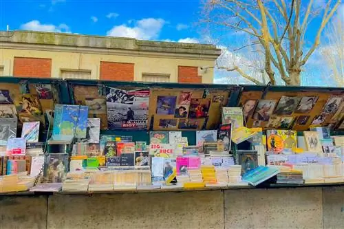 Ки-де-ла-Турнель (1)