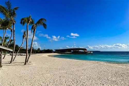 Рэйчел Левитт Мальдивы IMG_4877