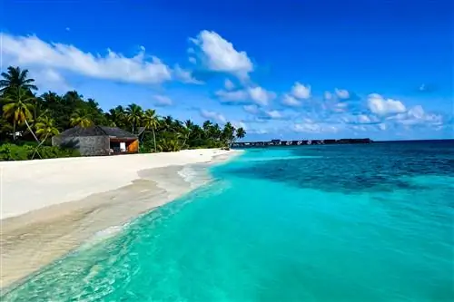 Рэйчел Левитт Мальдивы IMG_2117