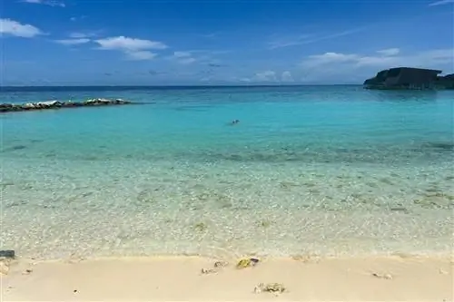 Рэйчел Левитт, Мальдивы, океан 1