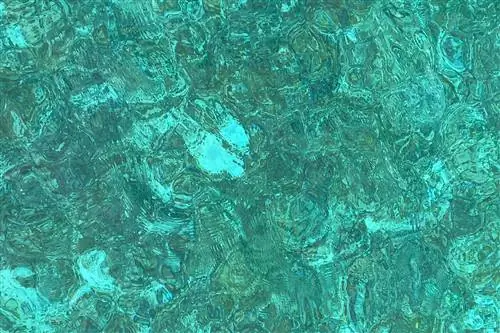 Потребовалось 4 полета и 40 часов, но я нашел самый красивый цвет на Земле