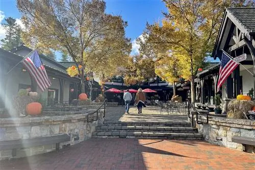 Рэйчел Левитт_Highlands Shops5