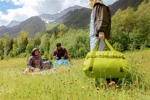 Я протестировал любимый багаж социальных сетей. Вот что вам нужно знать