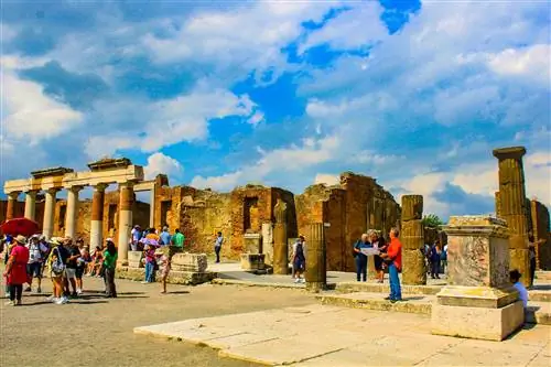 1-INTROALMAFI-shutterstock_2318866751