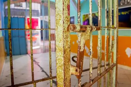 Эти 13 странных международных «преступлений» доставят вас в горячую воду