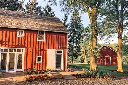 10 Airbnb, где разрешено проживание с домашними животными, чтобы посетить их с вашим пушистым другом