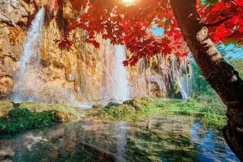 15 мест по всему миру, где можно увидеть великолепную осеннюю листву