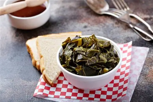 Пробовали ли вы эти 10 культовых южных продуктов для комфорта?