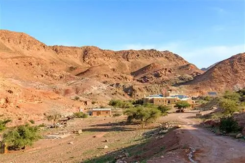 Image Image