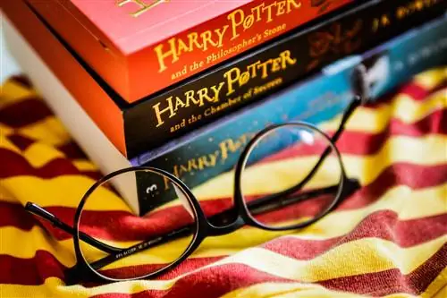 10 книг для подростков и подростков, которые стоит прочитать после Гарри Поттера