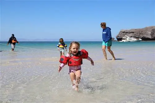 Астрид Дарр @astrid_daerr-4357