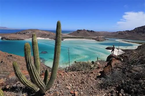 Астрид Дарр @astrid_daerr-5442