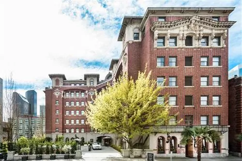 Познакомьтесь с призраком из Сиэтла, который прославил брауни с травкой