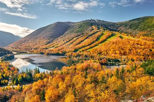 10 самых красивых лесов США