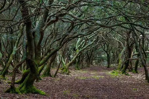 Динозавры, римляне, соотечественники: по исторической тропе в национальном парке Бриуны