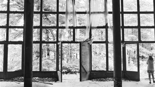 В Хорватии есть заброшенная президентская вилла: входите на свой страх и риск