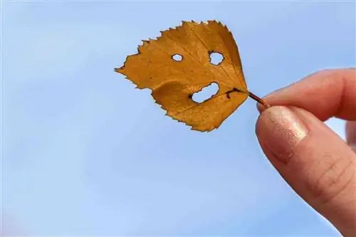 Где найти самую захватывающую осень в США