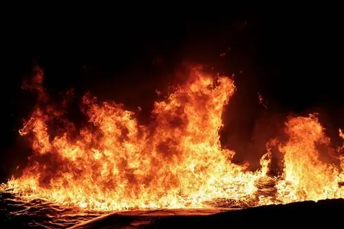 Я спасся от лесного пожара за полярным кругом