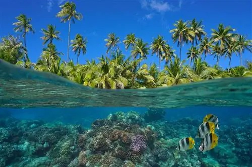 10 стран, где нельзя пить воду из-под крана