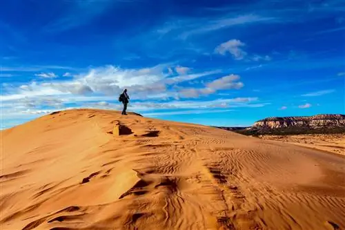 10 самых крутых песчаных дюн в Америке