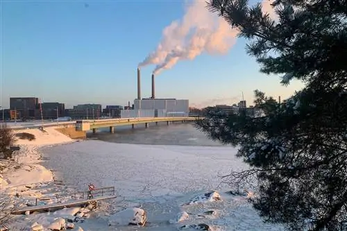 Это «полностью сумасшедшее» занятие помогало мне чувствовать себя живым, пока я застрял дома в Финляндии