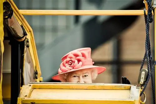 Хотели бы вы работать в Букингемском дворце?