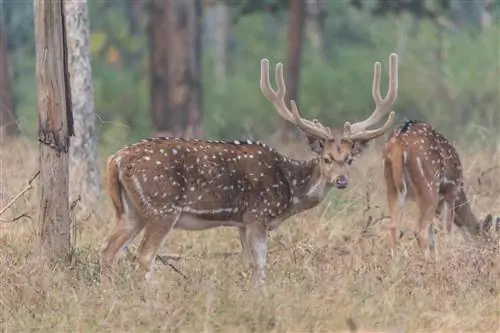 &copy; ATTA _ Путешествия без границ-