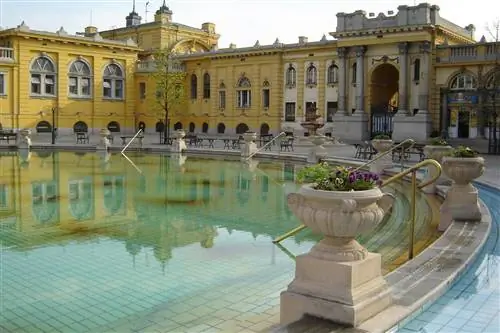 Я ходил в купальни в Будапеште в запрещенных купальных костюмах - вот что произошло