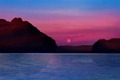 Неожиданный бонус сезона полуночного солнца на Аляске