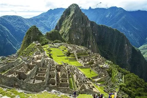 Image Image